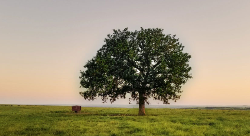 肩負重擔 推動我國經(jīng)濟、社會<br>環(huán)境全面協(xié)調(diào)可持續(xù)發(fā)展