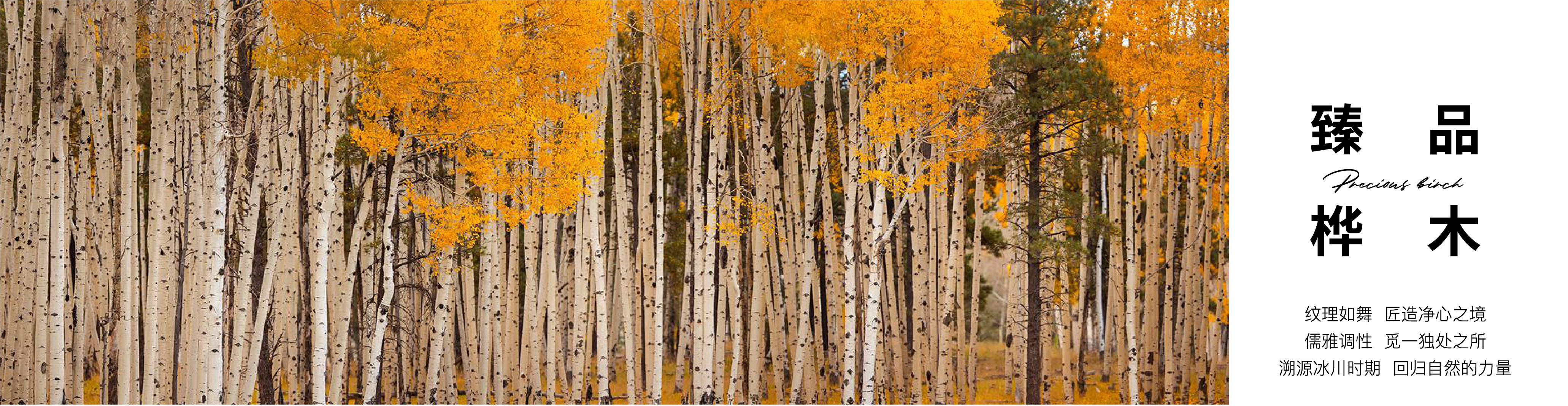 遇薦全樺丨品質(zhì)內(nèi)外兼修 ，釋放”全健康“本真